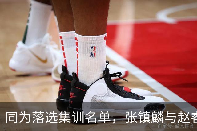 同为落选集训名单，张镇麟与赵睿的境遇差异何在？