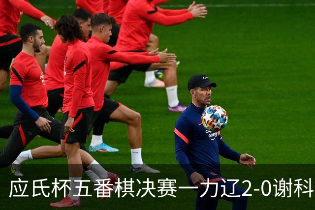 应氏杯五番棋决赛一力辽2-0谢科 率先拿到赛点