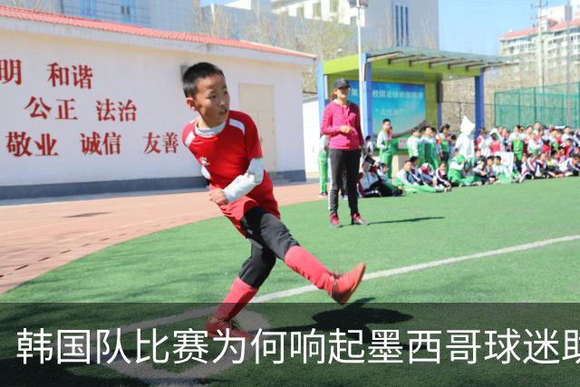 韩国队比赛为何响起墨西哥球迷助威声 奇妙的缘分源自8年前